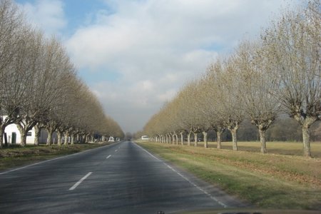 Campo de Mayo será un parque nacional — Ejército Campo de Mayo será un parque nacional — Ejército